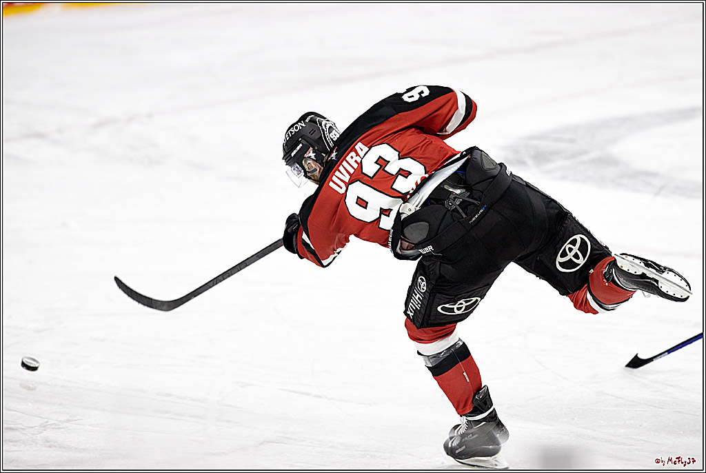 PENNY DEL;  Koelner Haie - ERC Ingolstadt; Koeln, 19.12.2021